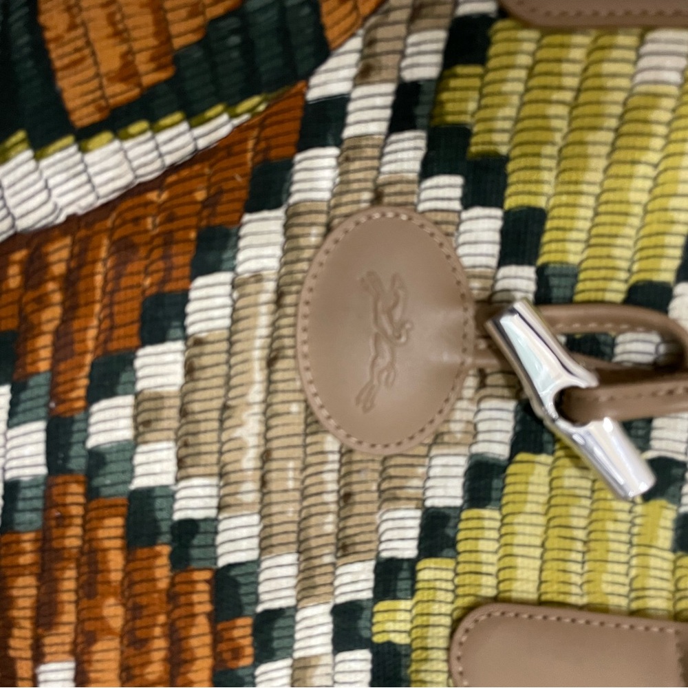 Longchamp Roseau Paniers D'art Shoulder Bag in Lime/Sienna/Multi - Picture 5 of 13